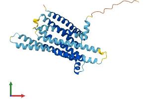 AlphaFold protein structure predicition of Mouse Recombinant Tas2r3 Protein, UniprotID Q7TQA7