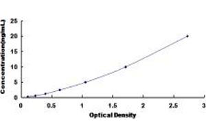 Adrenergic, alpha-2C-, Receptor (ADRA2C) ELISA Kit