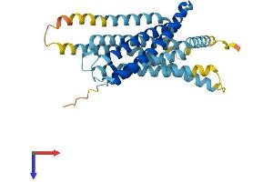 AlphaFold protein structure predicition of Mouse Recombinant Tas2r38 Protein, UniprotID Q7TQA6