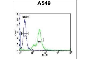 M6PR Antibody (C-term) (ABIN650726 and ABIN2839414) flow cytometric analysis of A549 cells (right histogram) compared to a negative control cell (left histogram). (M6PR anticorps  (C-Term))