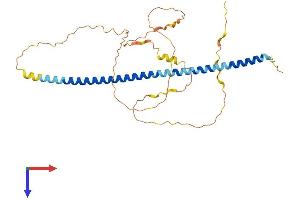 AlphaFold protein structure predicition of Human Recombinant GPS2 Protein, UniprotID Q13227