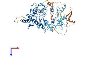AlphaFold protein structure predicition of Human Recombinant HINFP Protein, UniprotID Q9BQA5