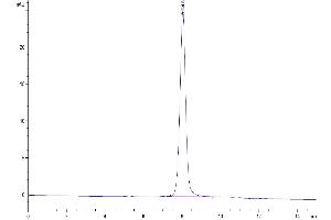 The purity of Biotinylated Human SIRP Beta 1 Isoform 3 is greater than 95 % as determined by SEC-HPLC.