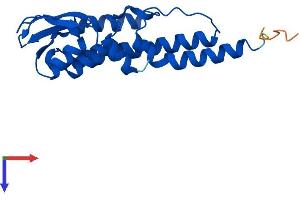 AlphaFold protein structure predicition of Mouse Recombinant Gins2 Protein, UniprotID Q9D600