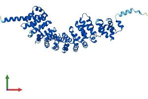 AlphaFold protein structure predicition of Human Recombinant SPAG6 Protein, UniprotID O75602