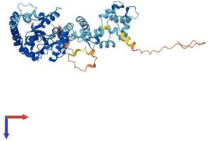 AlphaFold protein structure predicition of Mouse Recombinant Lpcat2 Protein, UniprotID Q8BYI6