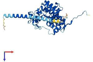 AlphaFold protein structure predicition of Mouse Recombinant Hs2st1 Protein, UniprotID Q8R3H7
