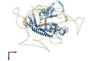 AlphaFold protein structure predicition of Human Recombinant GRID2IP Protein, UniprotID A4D2P6