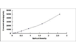 Typical standard curve