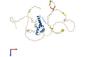 AlphaFold protein structure predicition of Mouse Recombinant Sox3 Protein, UniprotID P53784