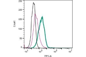 Cell surface detection of ADAM10 by direct flow cytometry in live intact human  megakaryoblastic cell line: + Rabbit IgG Isotype Control-FITC (ABIN7582044). (ADAM10 anticorps  (Extracellular) (FITC))