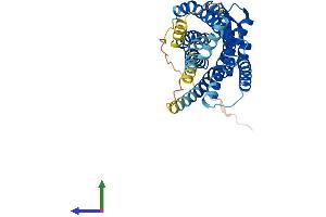AlphaFold protein structure predicition of Human Recombinant BDKRB1 Protein, UniprotID P46663