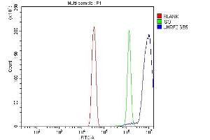 Flow Cytometry analysis of Hela cells using anti-NIRF antibody (ABIN7603150).