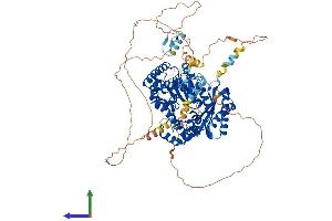 AlphaFold protein structure predicition of Mouse Recombinant Polk Protein, UniprotID Q9QUG2