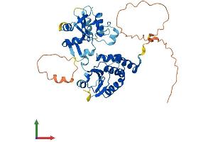 AlphaFold protein structure predicition of Human Recombinant DUSP5 Protein, UniprotID Q16690