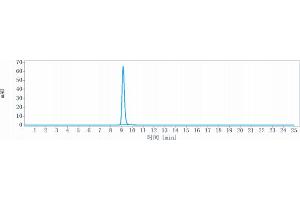 The purity of Anti-CD4 Reference Antibody (ibalizumab) is more than 95 % , determined by SEC-HPLC. (Recombinant CD4 (Ibalizumab Biosimilar) anticorps)