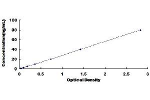 Typical Standard Curve