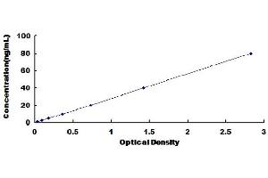 Typical Standard Curve (Decorin Kit ELISA)