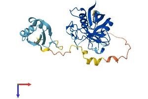 AlphaFold protein structure predicition of Human Recombinant PPIE Protein, UniprotID Q9UNP9