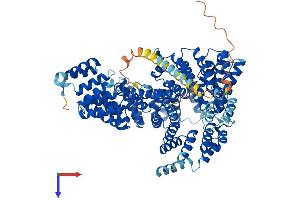 AlphaFold protein structure predicition of Mouse Recombinant Naa16 Protein, UniprotID Q9DBB4