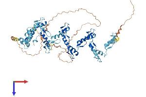 AlphaFold protein structure predicition of Human Recombinant ZNF133 Protein, UniprotID P52736