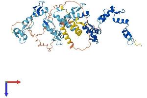 AlphaFold protein structure predicition of Human Recombinant ZNF846 Protein, UniprotID Q147U1