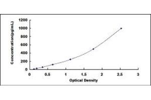 Typical standard curve (CEACAM3 Kit ELISA)