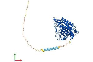 AlphaFold protein structure predicition of Mouse Recombinant Qpctl Protein, UniprotID Q8BH73