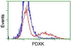 HEK293T cells transfected with either RC200975 overexpress plasmid (Red) or empty vector control plasmid (Blue) were immunostained by anti-PDXK antibody (ABIN2454665), and then analyzed by flow cytometry. (PDXK anticorps)
