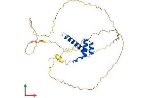 AlphaFold protein structure predicition of Human Recombinant HOXA9 Protein, UniprotID P31269