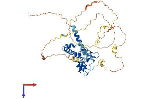 AlphaFold protein structure predicition of Mouse Recombinant Cdca7 Protein, UniprotID Q9D0M2