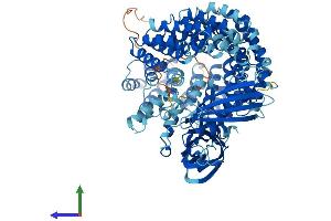 AlphaFold protein structure predicition of Human Recombinant COPG1 Protein, UniprotID Q9Y678
