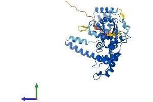 AlphaFold protein structure predicition of Mouse Recombinant Fen1 Protein, UniprotID P39749