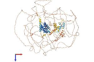 AlphaFold protein structure predicition of Human Recombinant GPRASP1 Protein, UniprotID Q5JY77