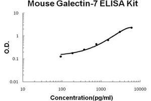 Mouse Galectin-7 PicoKine ELISA Kit standard curve