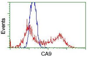 Flow Cytometry (FACS) image for anti-Carbonic Anhydrase IX (CA9) antibody (ABIN1497095) (CA9 anticorps)