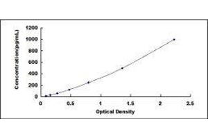 ELISA image for Fibroblast Growth Factor 1 (Acidic) (FGF1) ELISA Kit (ABIN414370)