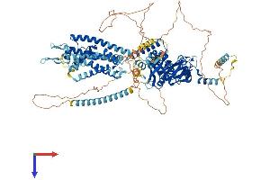 AlphaFold protein structure predicition of Human Recombinant KCNH5 Protein, UniprotID Q8NCM2