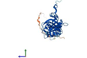 AlphaFold protein structure predicition of Human Recombinant NUDT6 Protein, UniprotID P53370