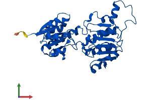 AlphaFold protein structure predicition of Mouse Recombinant Grhpr Protein, UniprotID Q91Z53