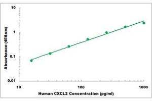 Representative Standard Curve (CXCL2 Kit ELISA)