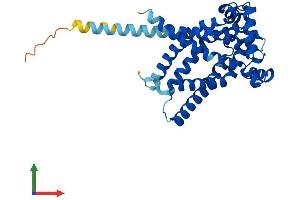 AlphaFold protein structure predicition of Human Recombinant SLC25A42 Protein, UniprotID Q86VD7