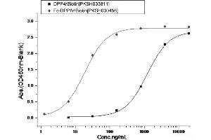 ELISA image for MERS-Coronavirus Spike Protein (MERS-CoV S) (Active) protein (His tag) (ABIN7198817)