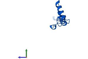 AlphaFold protein structure predicition of Human Recombinant NDUFA1 Protein, UniprotID O15239