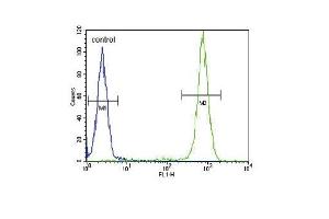 IL4 Antibody (C-term) (ABIN651434 and ABIN2840238) flow cytometric analysis of WiDr cells (right histogram) compared to a negative control cell (left histogram). (IL-4 anticorps  (C-Term))