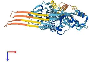 AlphaFold protein structure predicition of Mouse Recombinant Gsdmd Protein, UniprotID Q9D8T2