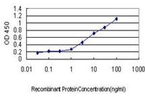 Detection limit for recombinant GST tagged SH2D4A is approximately 0. (SH2D4A anticorps  (AA 239-338))