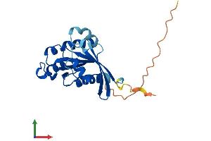AlphaFold protein structure predicition of Mouse Recombinant Rab43 Protein, UniprotID Q8CG50