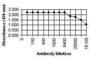ELISA image for anti-ICP36 DNA Binding Protein (CMV ICP36) antibody (ABIN265543) (ICP36 DNA Binding Protein (CMV ICP36) anticorps)