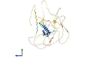 AlphaFold protein structure predicition of Human Recombinant UNCX Protein, UniprotID A6NJT0